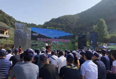 2019中國農(nóng)民豐收節(jié)-刺葡萄生態(tài)文化旅游節(jié)產(chǎn)銷對(duì)接會(huì)