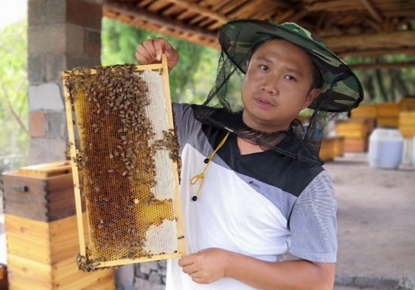 惠農網錘煉致富帶頭人 瀘溪縣張明養蜂釀就甜蜜生活