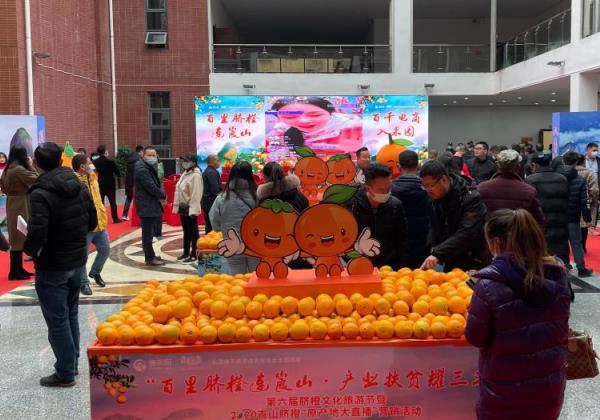 新寧：第六屆臍橙文化旅游節開幕 惠農網“云”助力銷售臍橙65噸