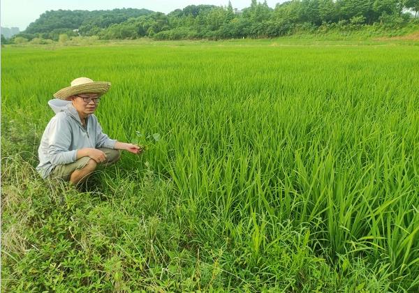 年入200余萬元！看80后IT高管如何靠惠農網跨界生財