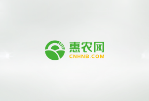 紅網 | 電商培訓 賦能“數字鄉村”